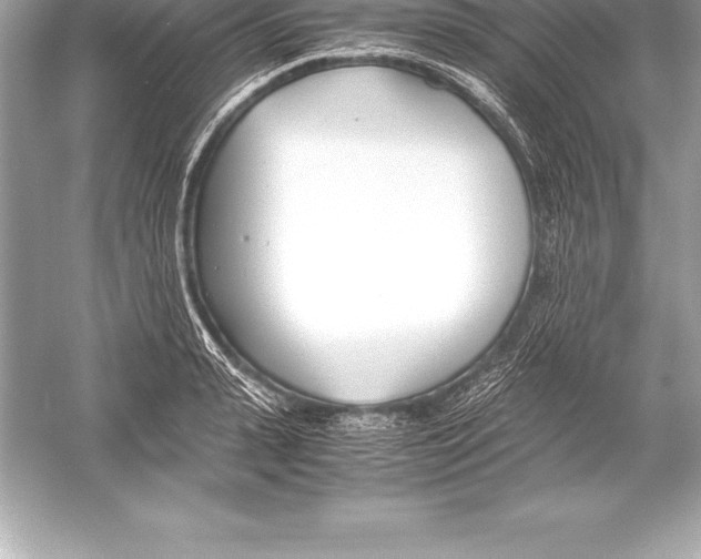 X0000051870943200507221919