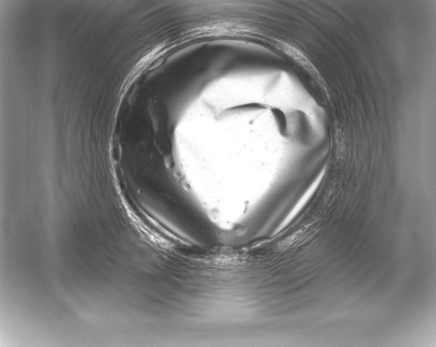 X0000051870946200507221919