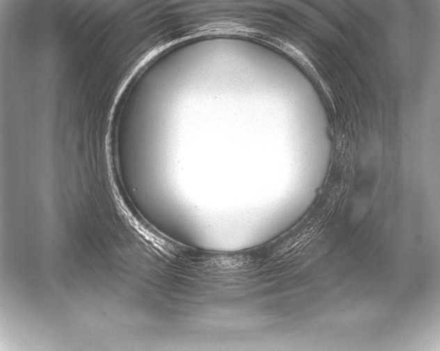 X0000051870947200507221920