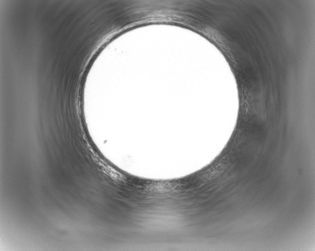 X0000051870950200507221920