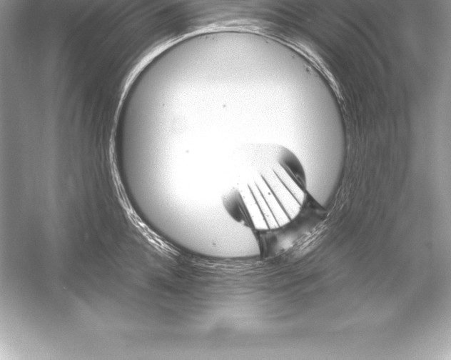 X0000051870952200507221920
