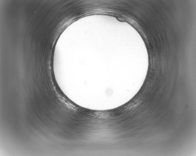X0000051870954200507221920
