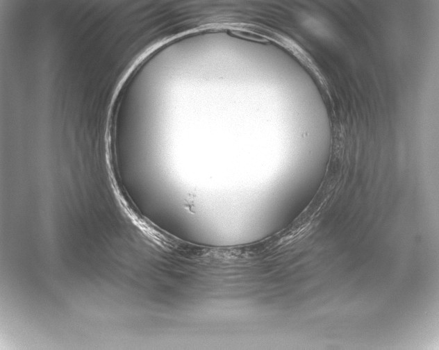 X0000051870955200507221920