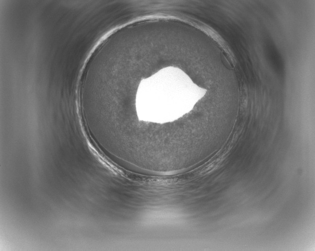 X0000051870958200507221920