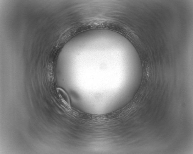 X0000051870964200507221919