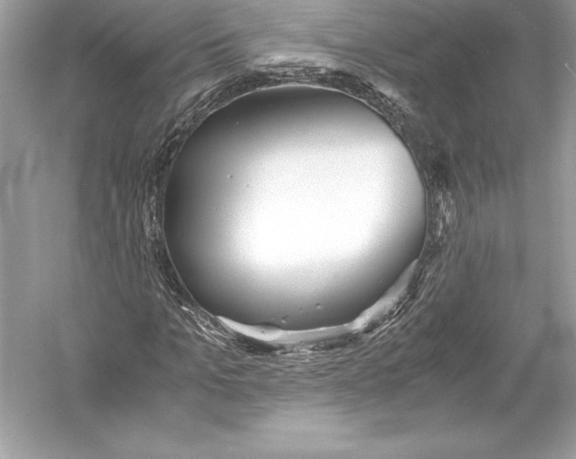 X0000051870965200507221919