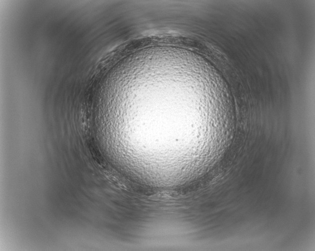 X0000051870966200507221919