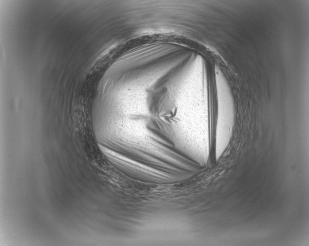 X0000051870967200507221919