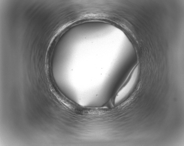 X0000051870981200507221919