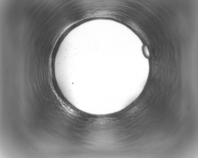 X0000051870988200507221918