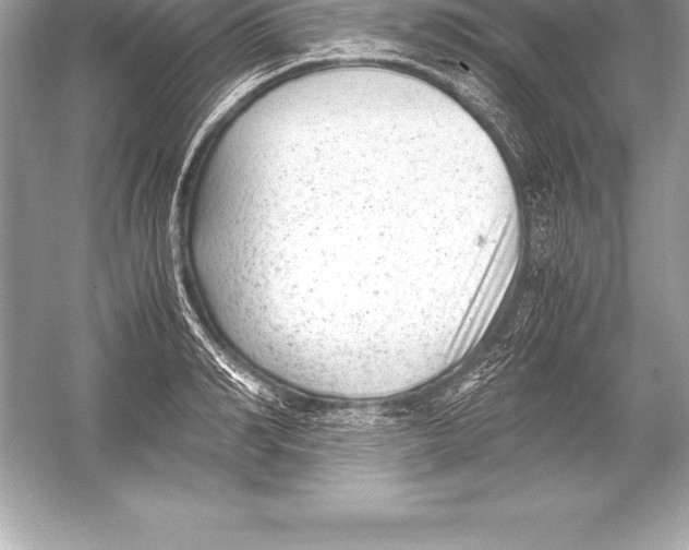 X0000051870990200507221918