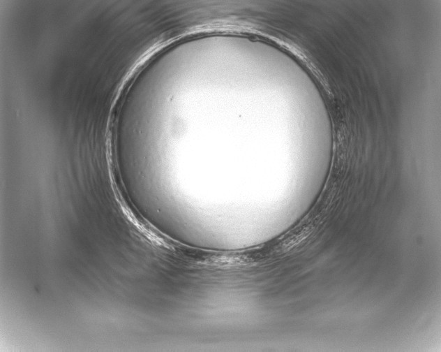 X0000051870998200507221918