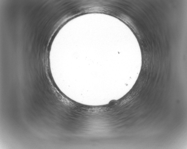 X0000051871000200507221918