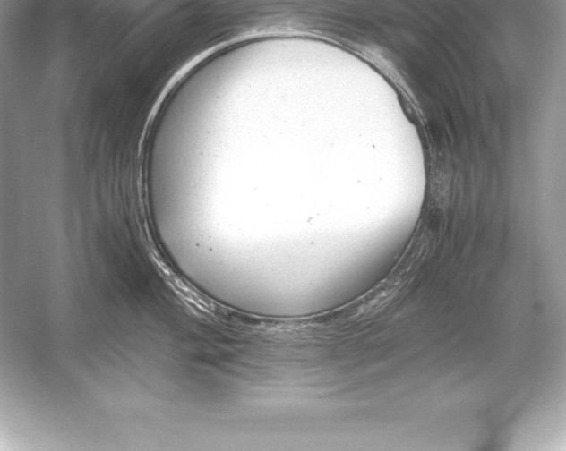 X0000051871004200507221918