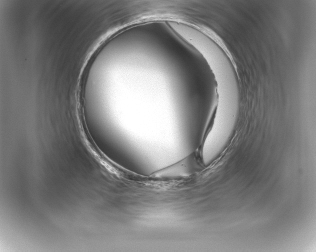 X0000051871005200507221918