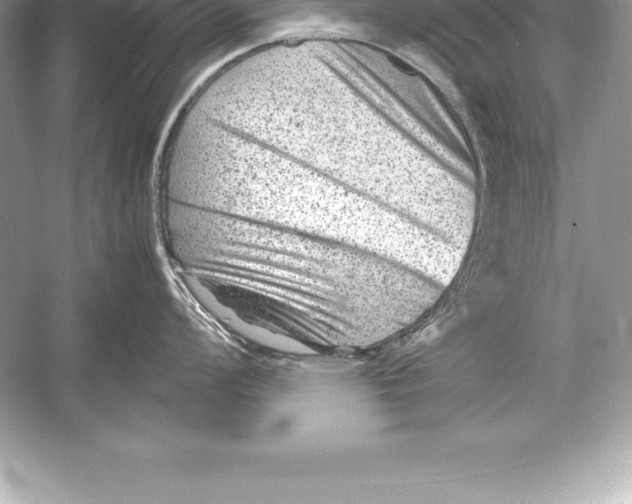 X0000051871008200507221918