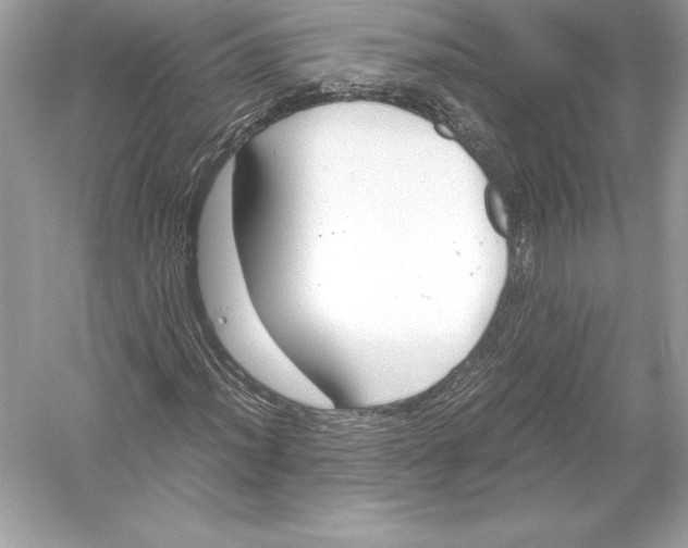 X0000051871012200507221917