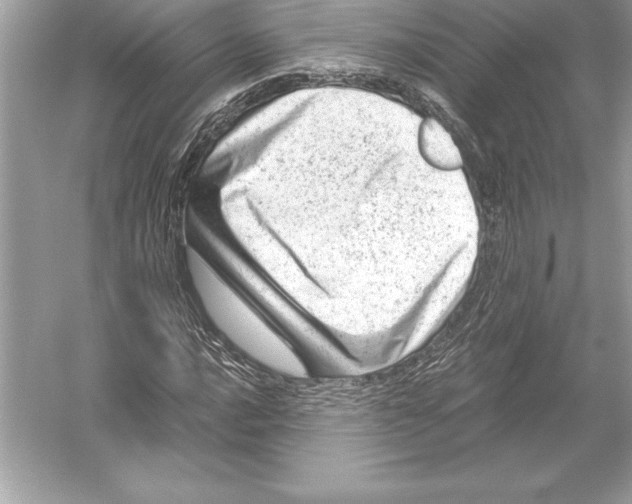 X0000051871016200507221917