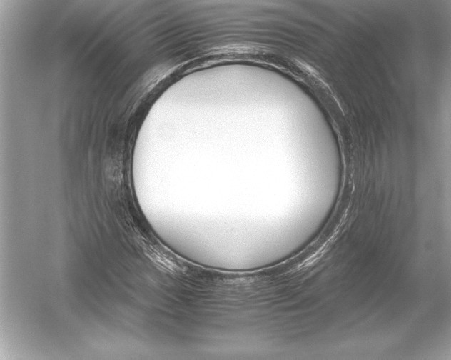 X0000051871017200507221917