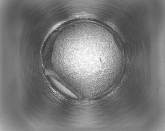 X0000051871022200507221918