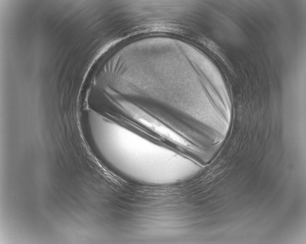 X0000051871024200507221918