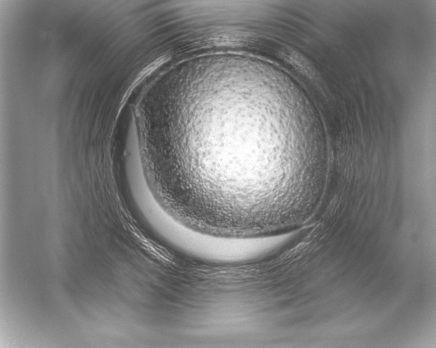 X0000051871026200507221918