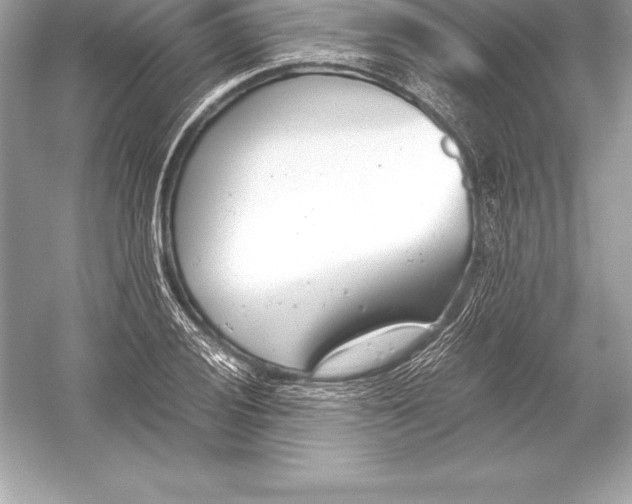 X0000051871028200507221918