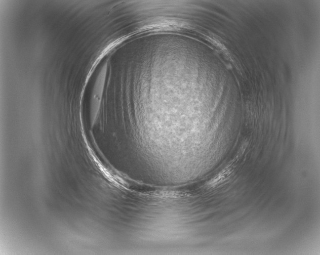 X0000051871034200507221918