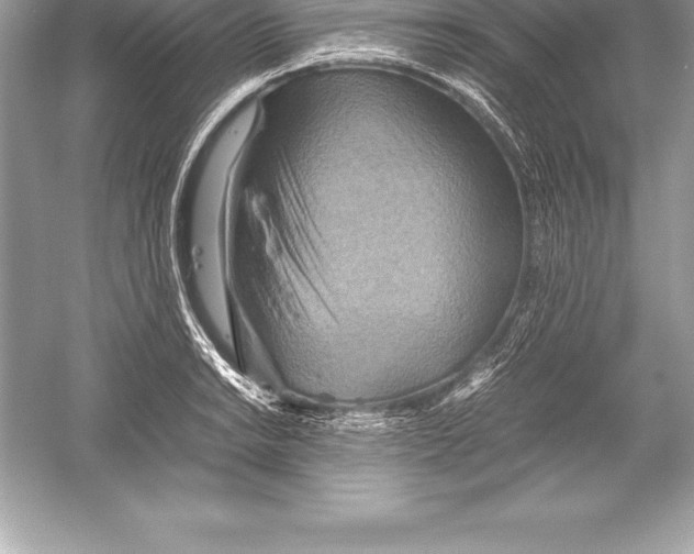 X0000051871038200507221918