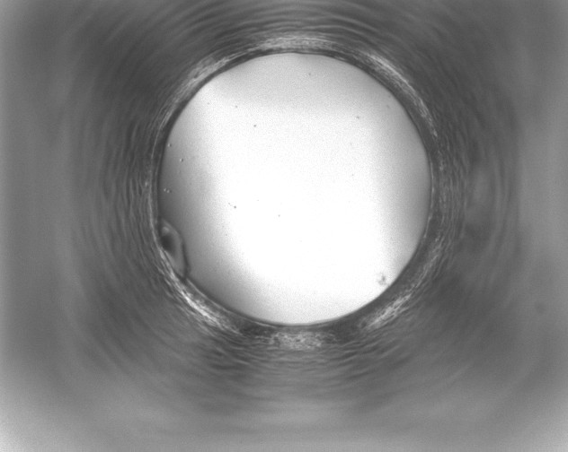 X0000051871041200507221918