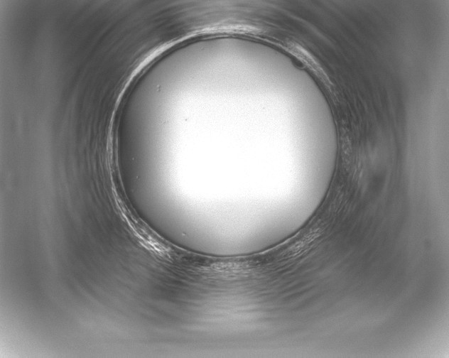 X0000051871044200507221918