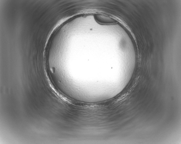 X0000051871045200507221918