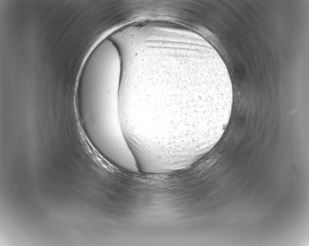 X0000051871052200507221918