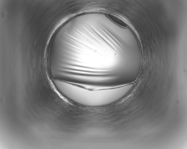 X0000051871053200507221918