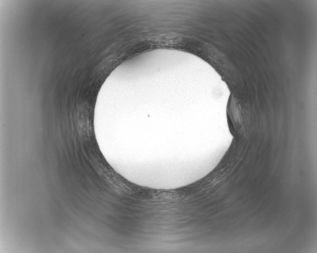 X0000051871058200507221917