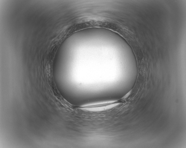 X0000051871061200507221917