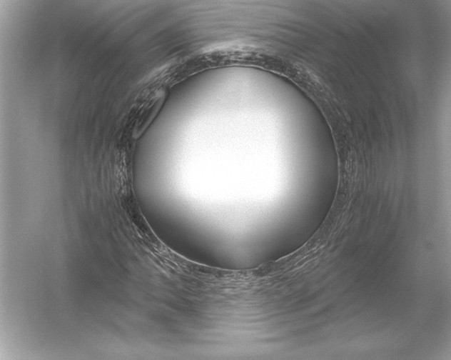 X0000051871062200507221917