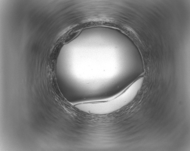 X0000051871064200507221917