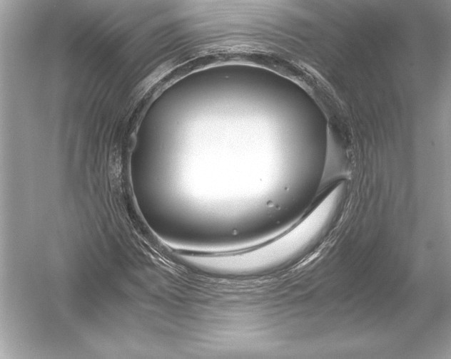 X0000051871065200507221917