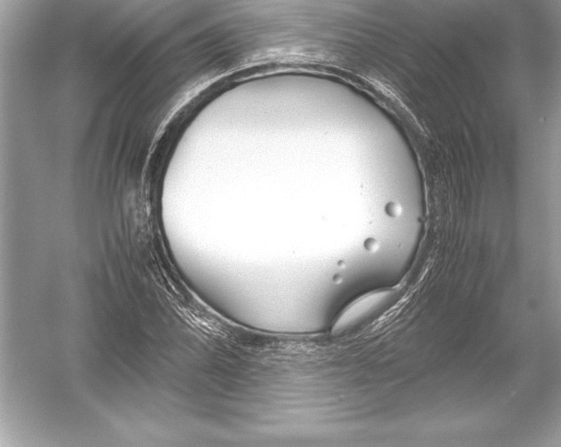 X0000051871070200507221917