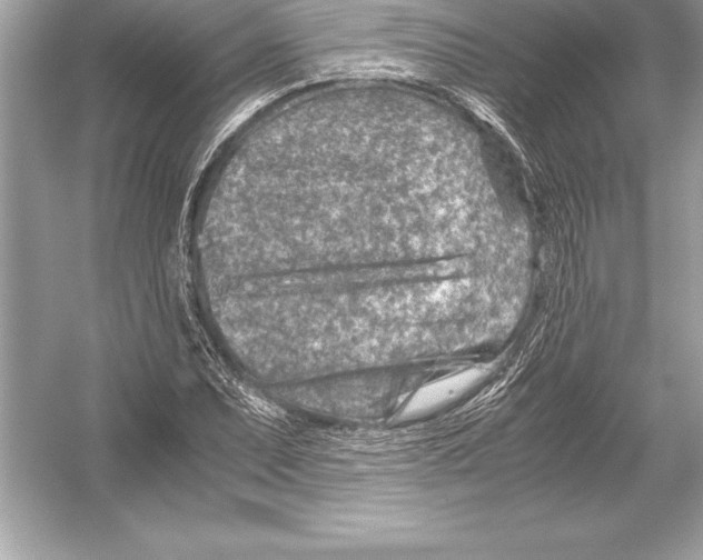 X0000051871071200507221917