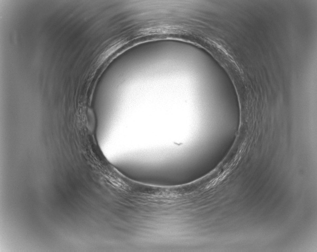 X0000051871073200507221917