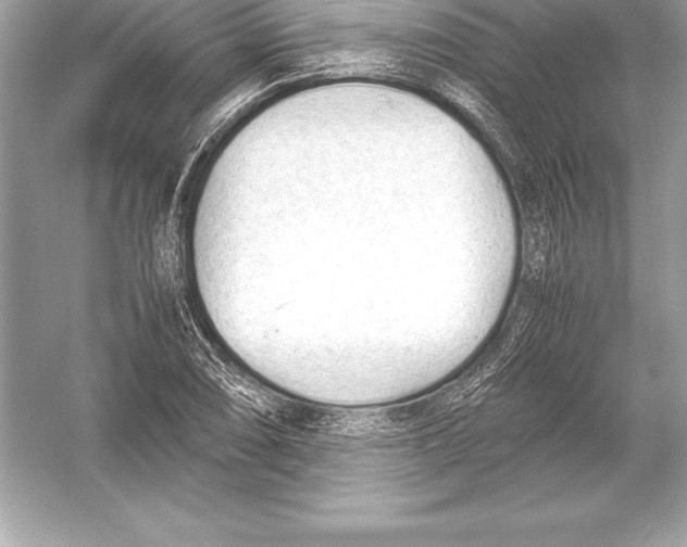 X0000051871074200507221917