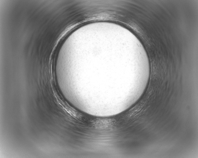 X0000051871078200507221917