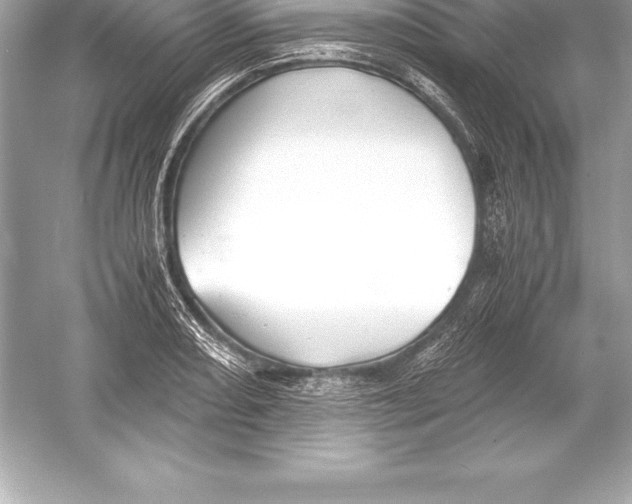 X0000051871082200507221917