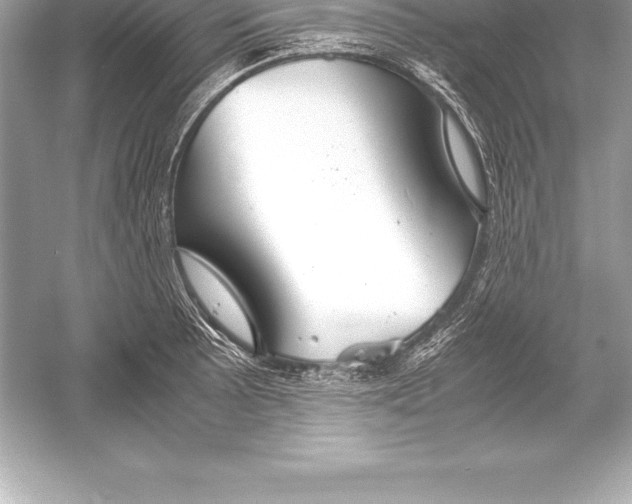 X0000051871089200507221917