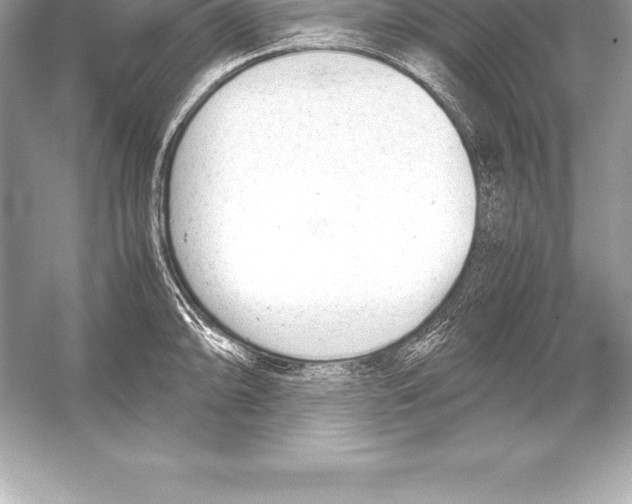 X0000051871094200507221917