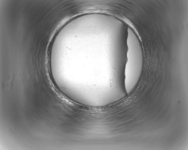 X0000051871096200507221917
