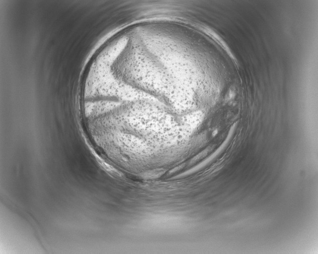 X0000051871101200507221917
