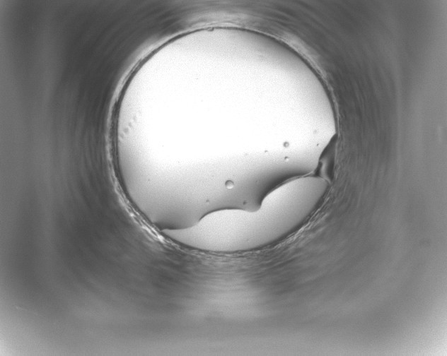 X0000051871104200507221916